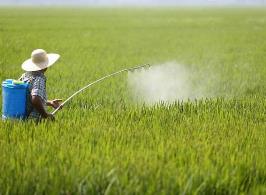 農藥綠色提升行動計劃發布