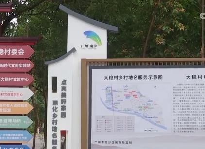 今年我國規范命名15.6萬個鄉村地名