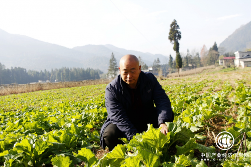 杜戴鋒：難舍家鄉故土情 夢圓沃野創業路