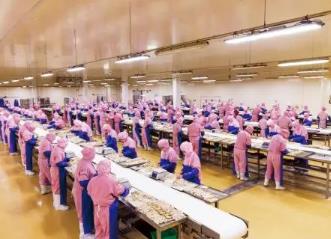 福建：標準化“繪”出現代農業新圖景