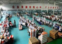 露酒成為繼白酒、啤酒之后中國第三大酒種