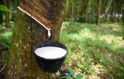 ANRPC：11月全球天然橡膠產量料增3.5% 消費量降0.5%