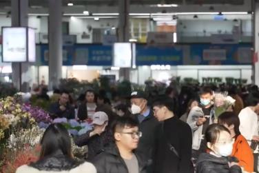 年貨市場消費旺、“菜籃子”供得上 確保群眾歡樂祥和過節
