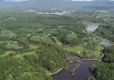 全國首單水土流失區林業治理碳匯保險落地福建長汀