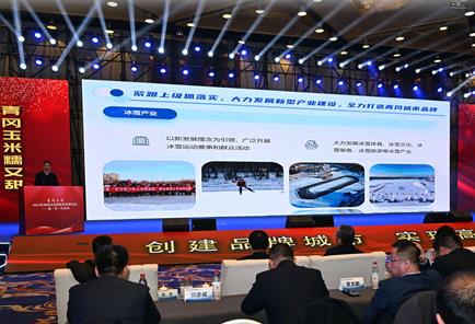 2023黑龍江省城市品牌評價信息發布