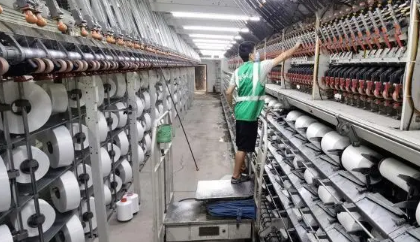 河北蠡縣：“電商+特色產業”新業態賦能鄉村振興