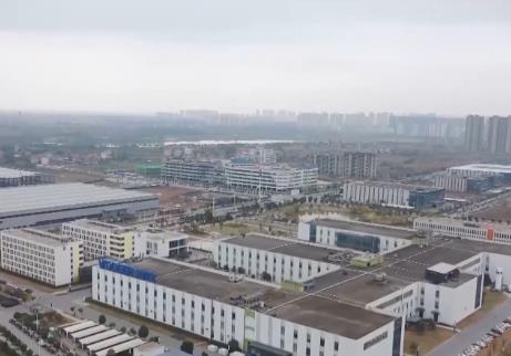 工廠訂單排到2028年！我國專精特新中小企業發展動能不斷釋放