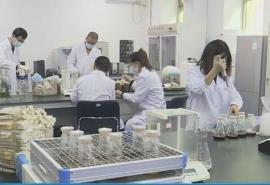 黑龍江省科學院微生物所獲批國家食用菌種質資源庫