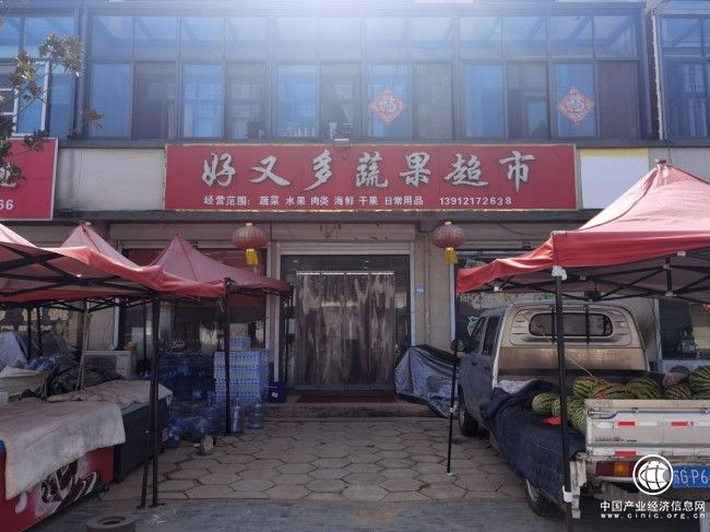 “金絲利”賦能鄉村振興 櫻桃小鎮激活“頭雁”效應