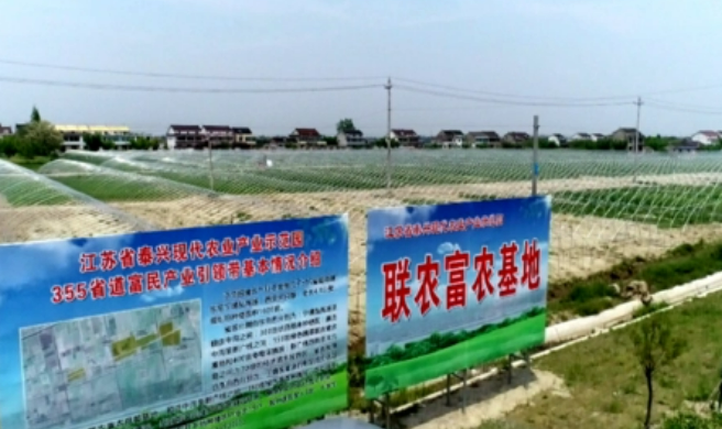 如何完善聯農帶農機制（政策問答·2024年中國經濟這么干）