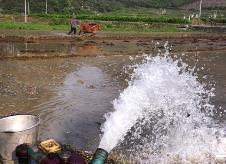 云南廣西旱情露頭 水利部指導兩省區全力做好抗旱保供水工作