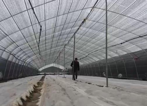 高標準、新模式、巧育種 各地多舉措助增收繪出“新豐景”