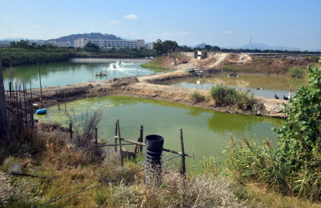 農村生活污水治理明確新標準