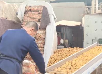 多地啟動精細化預案 確保雨雪寒潮天氣市民“菜籃子”供應量足價穩
