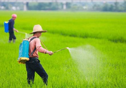江西2023年農藥產量達20余萬噸，銷售收入近90億元