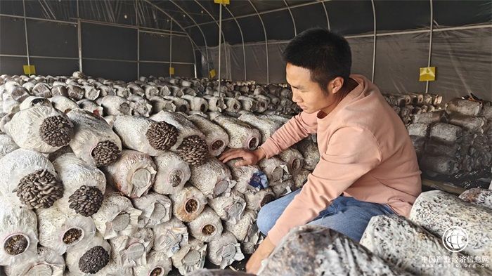 只要人勤快，日子會越來越好