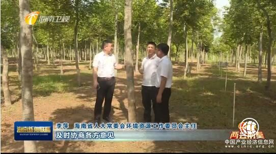 海南省人大代表王永濤“黃花梨一樹一證提案”列入省人大重點督辦