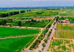 寧夏“六特”產業全鏈條綜合產值破2600億元