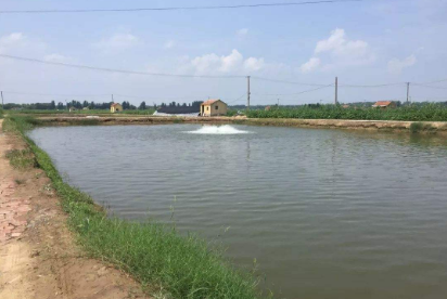 我國首個鹽堿地水產養殖領域國家標準發布