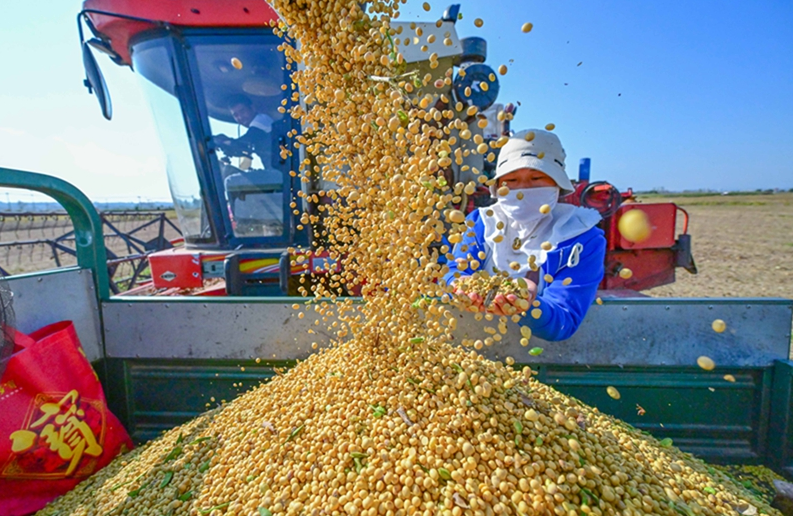 繪就宜居宜業和美鄉村新畫卷——中央一號文件釋放有力有效推進鄉村全面振興信號