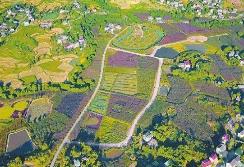 四川省深入推進鄉鎮行政區劃和村級建制調整后續工作 782 個鄉鎮級片區國土空間規劃完成編制