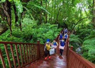 綠美生態惠民 廣東建成141條自然教育徑