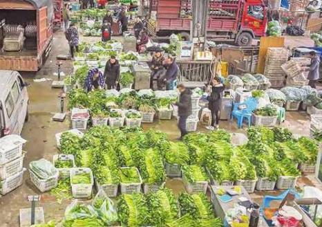 四川農產品質安監測合格率達99.4％