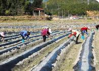 保障春耕備耕，福建下達31.89億元！