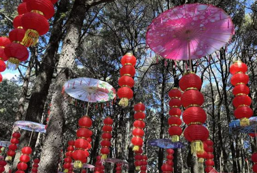 春節假期國內游客出游總花費6326.87億元 同比增長47.3%