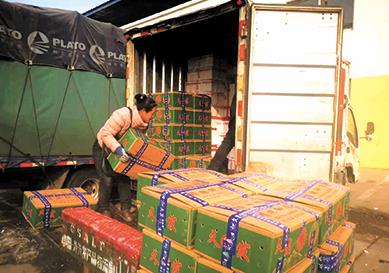 實探蔬菜之鄉壽光：大棚是必逛“景點”