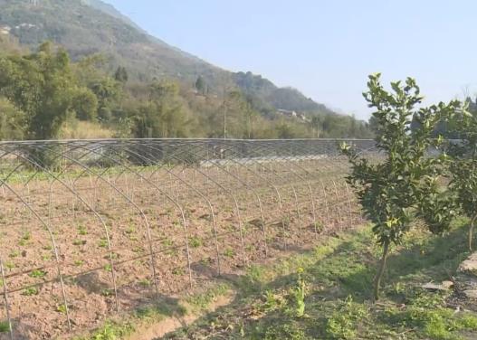 各地按下春耕備耕“快進鍵” 為新春糧食生產起好步、開好頭