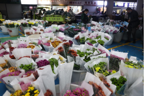 2023年云南省鮮切花出口值達5.7億元 連續5年保持全國首位