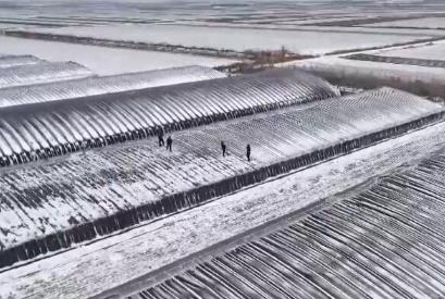 向雪而行！科技小分隊守護“大國糧倉” 護航農業生產