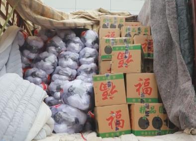 各地齊發力確保“菜籃子”貨足價穩 能源企業“開足馬力”保障用能需求