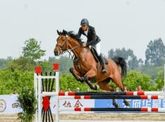 全國首創！四川布局組建全國首批賽馬制工程研究中心