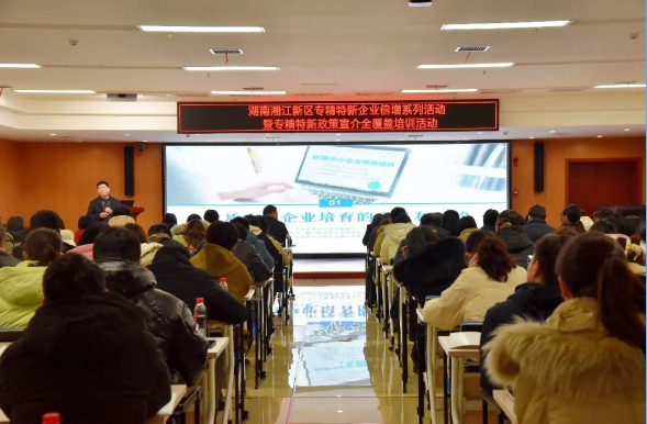 “解碼”政策扶持！助力湖南湘江新區企業邁向“專精特新”