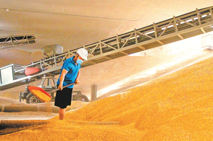 糧食購銷和儲備數字化監管體系初步建成