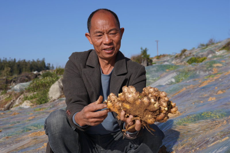 春風“拂”振興  鄉村“亮”新貌