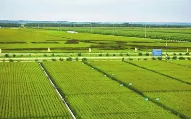 黑龍江黑河建立國家和省級農業項目成果統籌示范基地