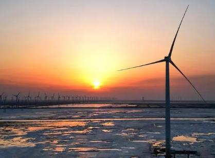 我國首個“海上風電+海洋牧場”全年上網電量將超10億千瓦時