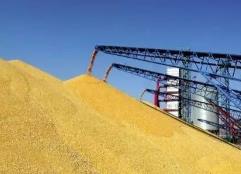 福建：深化拓展“三爭”行動  持續推進全省糧儲系統“三大提升行動”