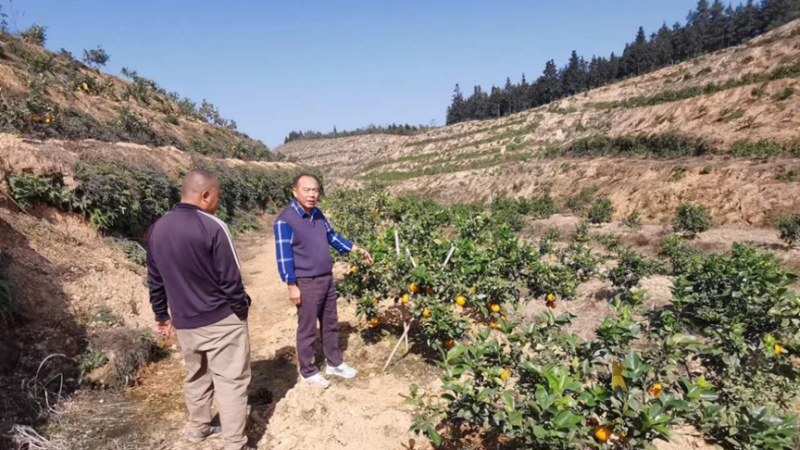 鄉村振興幫扶人 致力幸福振興路