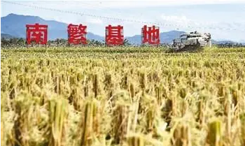 南繁硅谷展現智慧育種新圖景