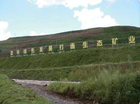 逐綠而行 內蒙古推動綠色礦山建設