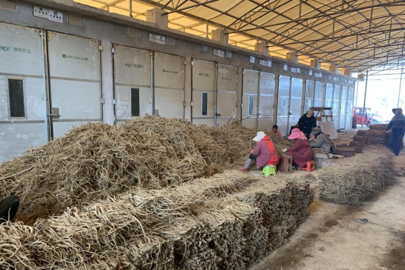 湖北鶴峰：“一房”多用，閑置烤房促增收