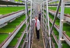 湖南省今年新（改）建育秧設施1800萬平方米