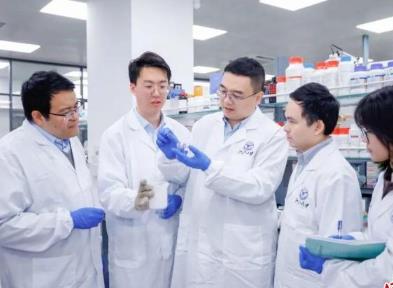 凍干果蔬“啟發”浙大科研人員尋得腫瘤新療法