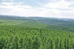 山西省人工造林面積連續三年位居全國前列