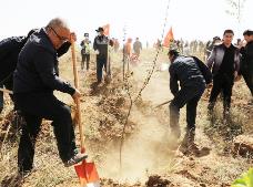 內蒙古今年計劃完成義務植樹3000萬株