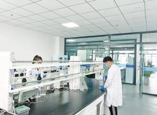 追“新”而行， 內蒙古高質量發展動能澎湃